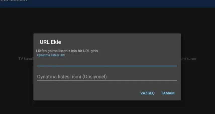 Iptv Mavi Iconlu kurulum ekranı 2